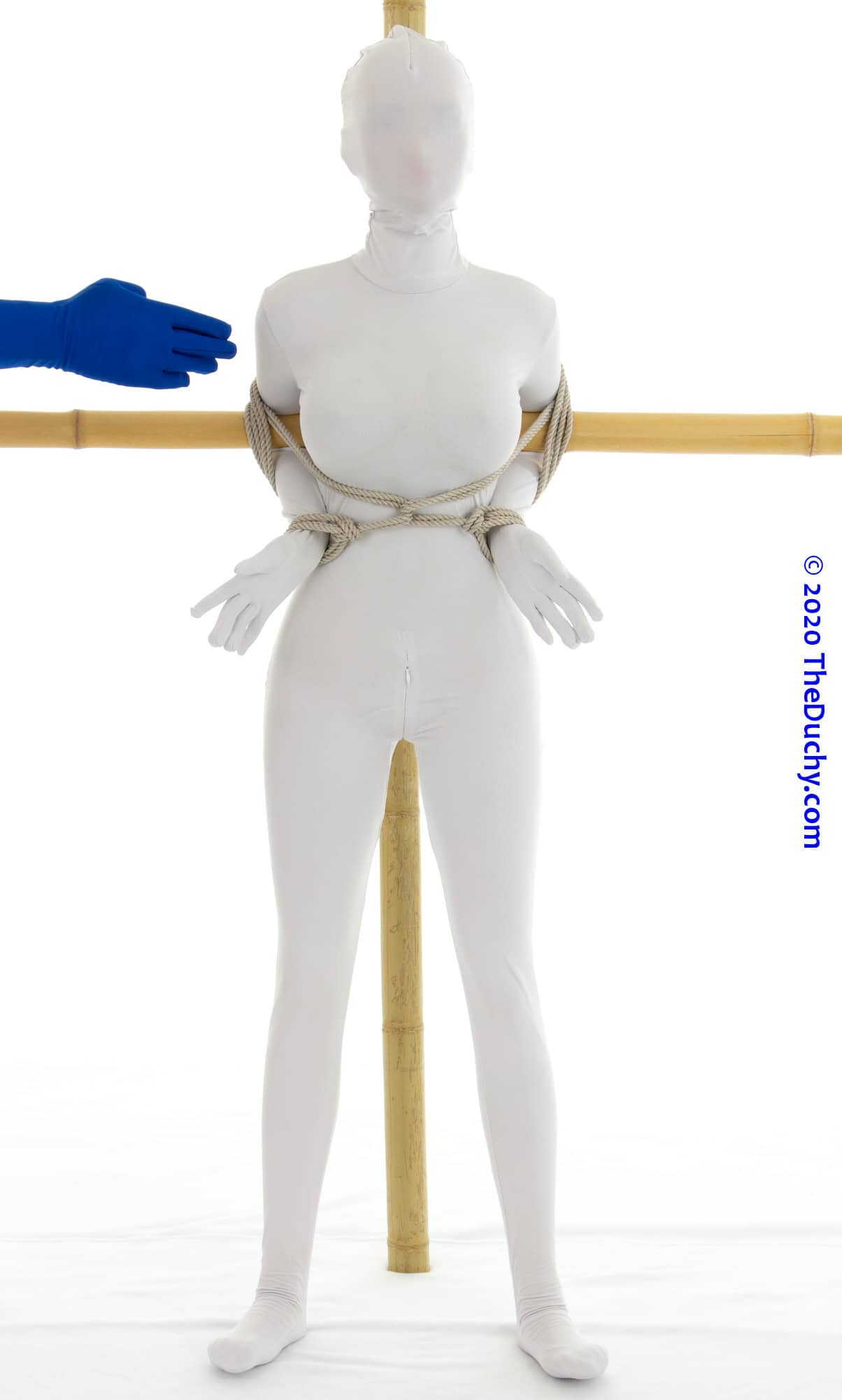 4.	For example you could have also added a chest harness and then attach that harness to the T-Frame.  (Obviously, I have not done so here.  Just mentioning another fun idea.)