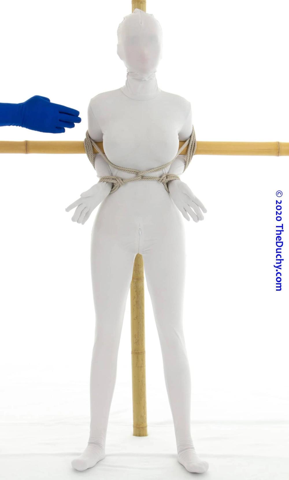 4.	For example you could have also added a chest harness and then attach that harness to the T-Frame.  (Obviously, I have not done so here.  Just mentioning another fun idea.)