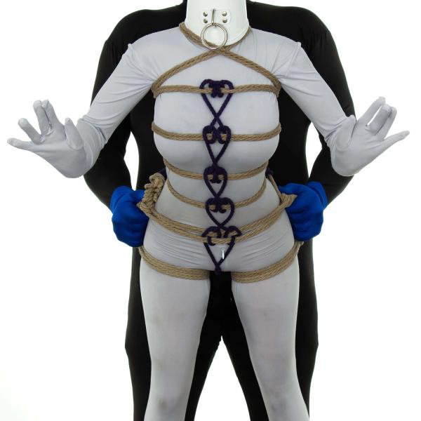 Heart Ladder & Hip Harness