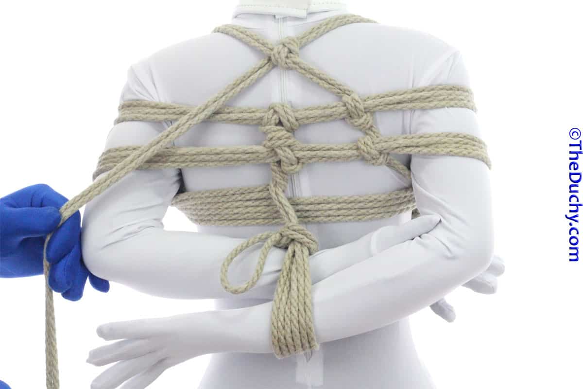 Step 17