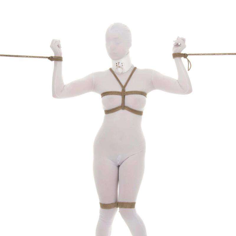 Top 5 Best Shibari Ties for Beginners