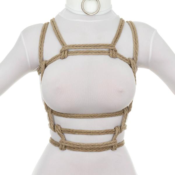 Barre Harness