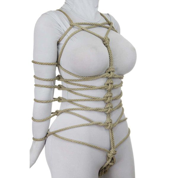 Dragonfly Harness