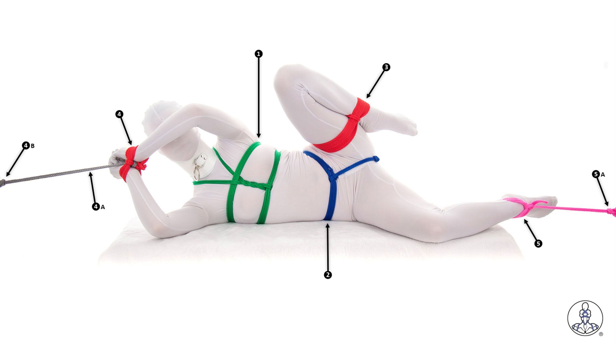This is an annotated version of a BDSM rope bondage picture. In it, a woman dressed head-to-toe in a white zentai body suit is tied with various rope harnesses and other ties. The annotations number each tie so that it can be discussed in the article.