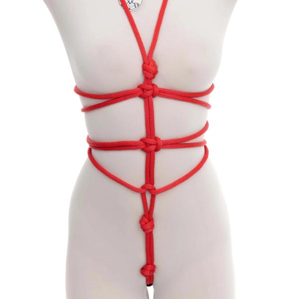 Strap-in Body Harness
