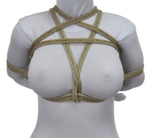 Star Harness with Arms