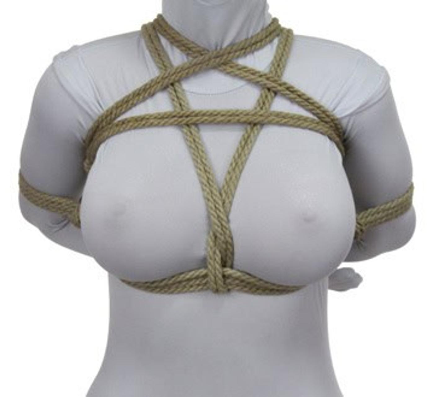 Star Harness with Arms