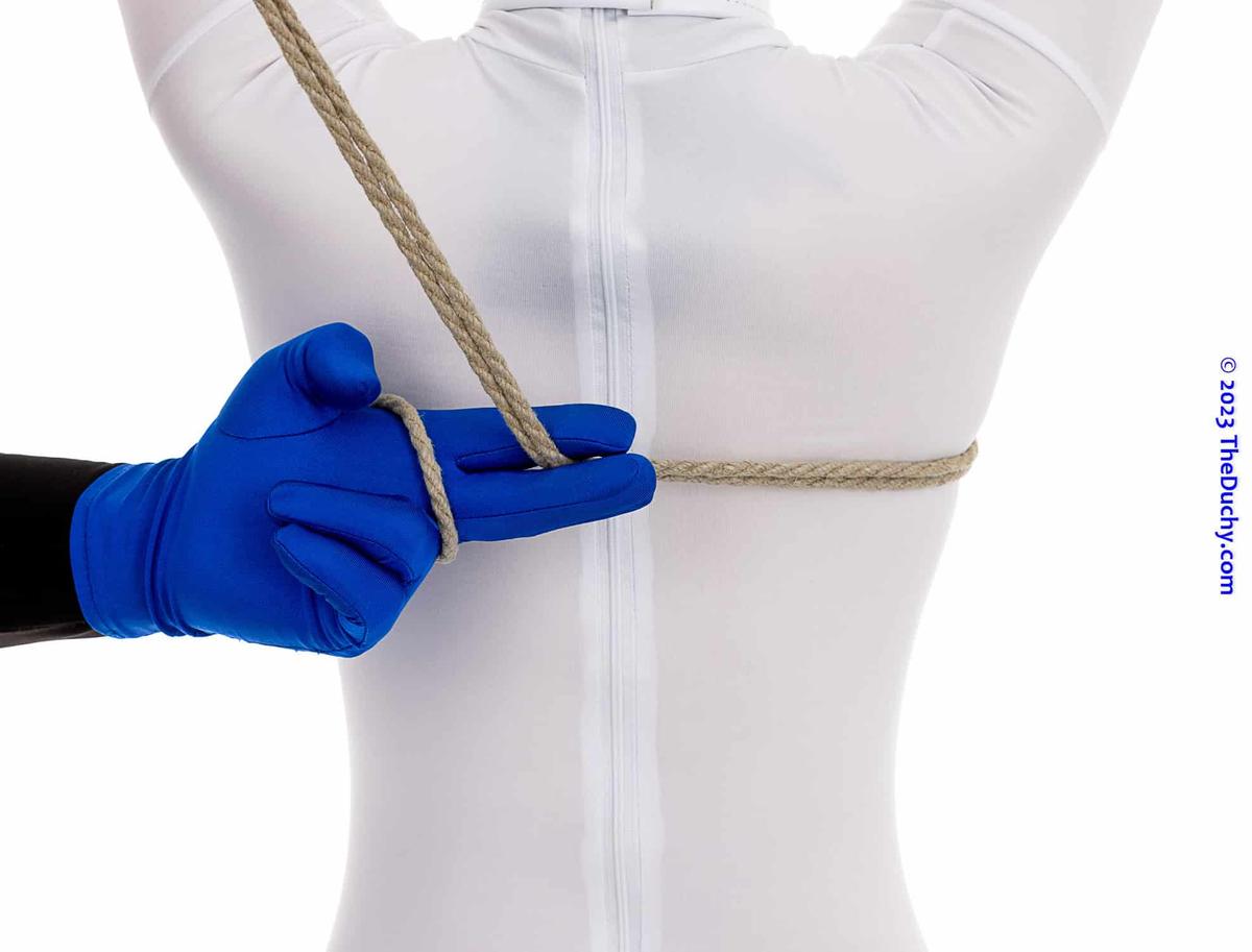 Pentagram Harness v2 (2)