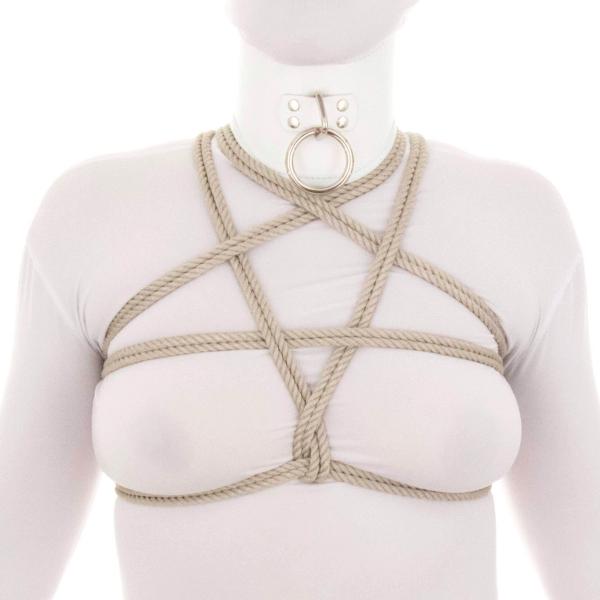 Pentagram (Star) Harness v1