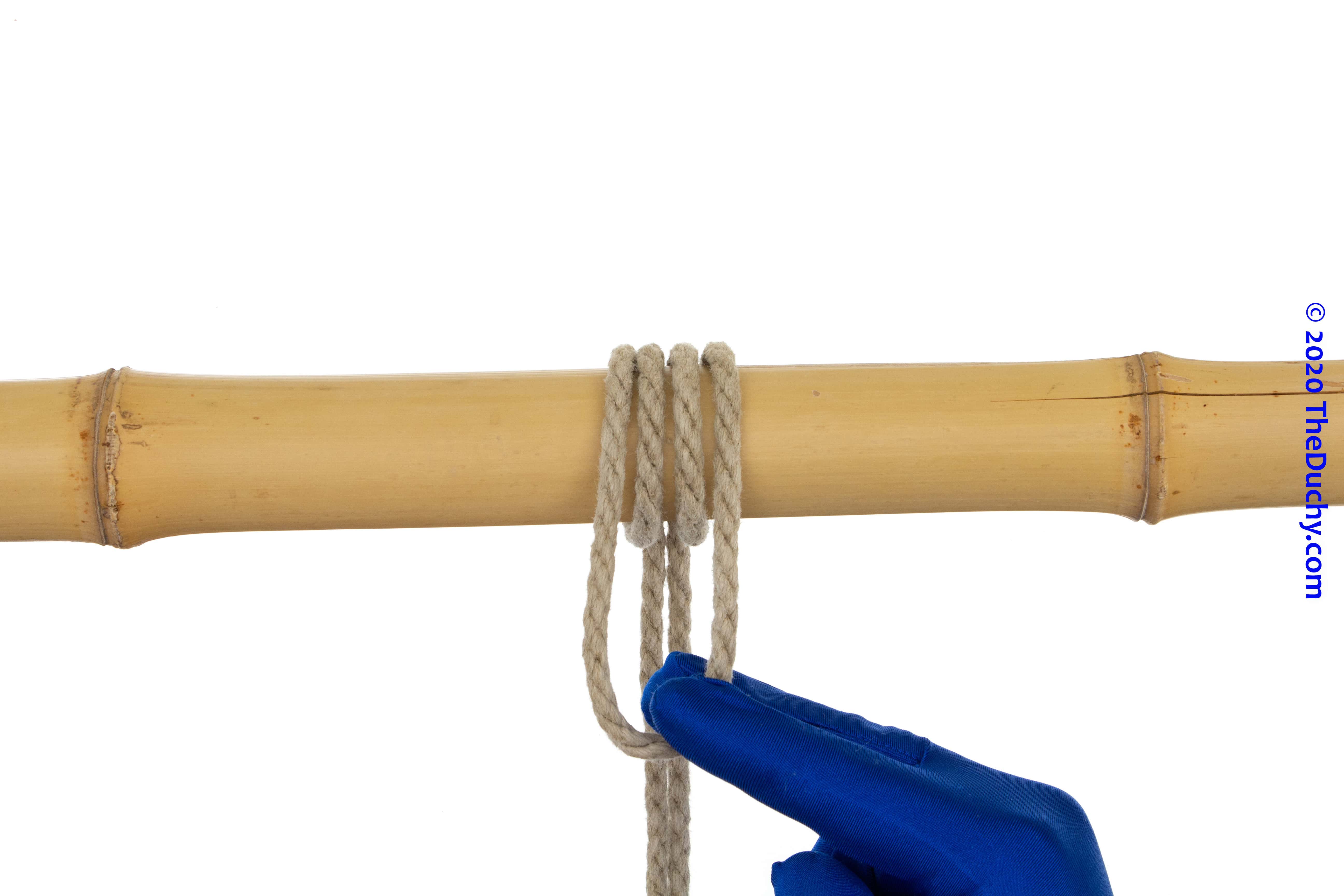 Step 6