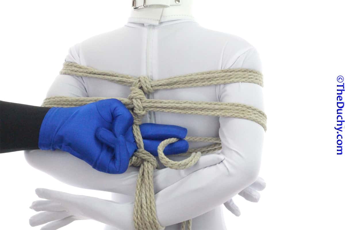 Step 17