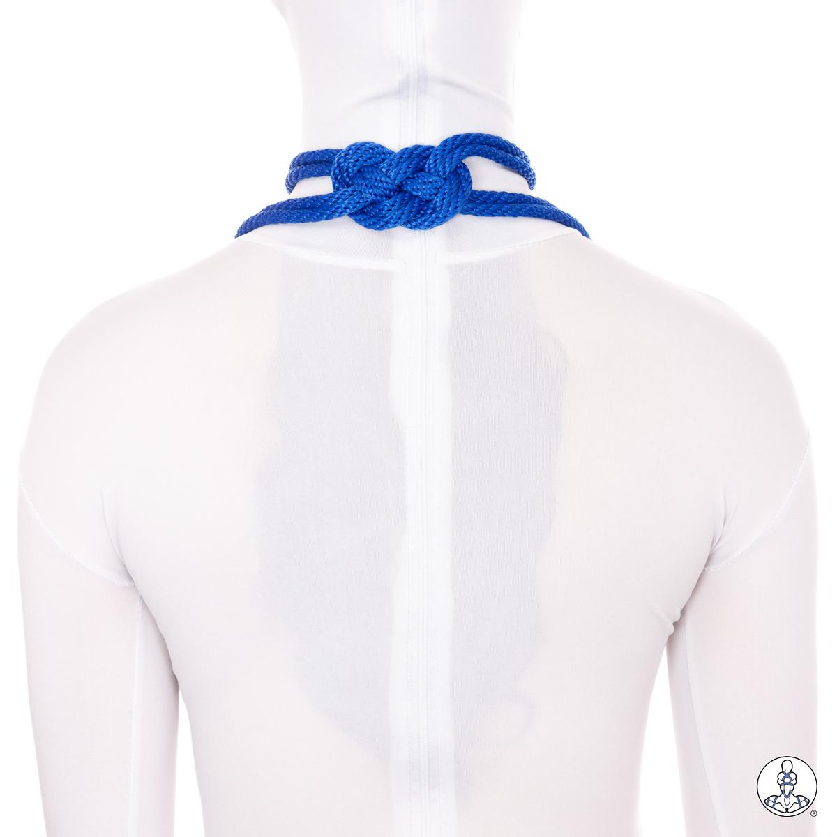 Ornamental Choker (3)