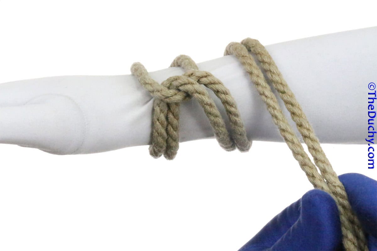 Step 5