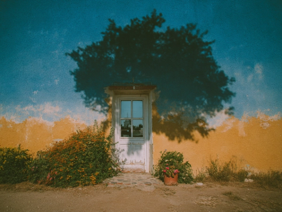 create publish same place notion