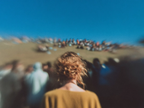 audience newsletter notion