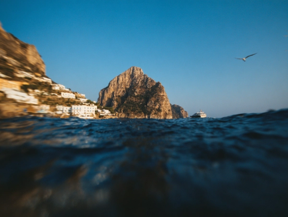 alternative wordpress free