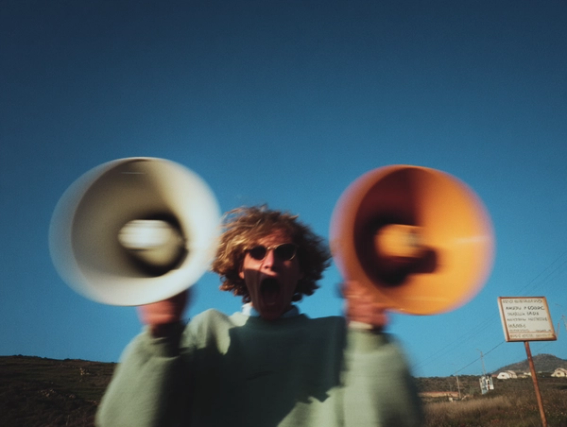 send newsletter wordpress