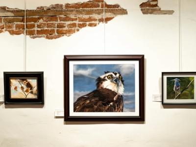 Art Collector's Mailing List