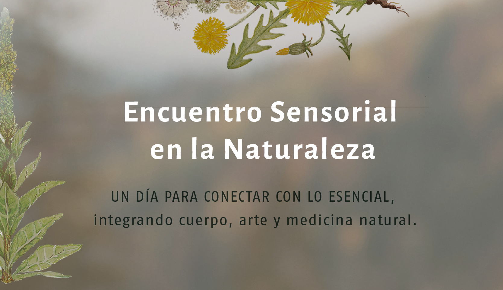 ENCUENTRO SENSORIAL EN LA NATURALEZA