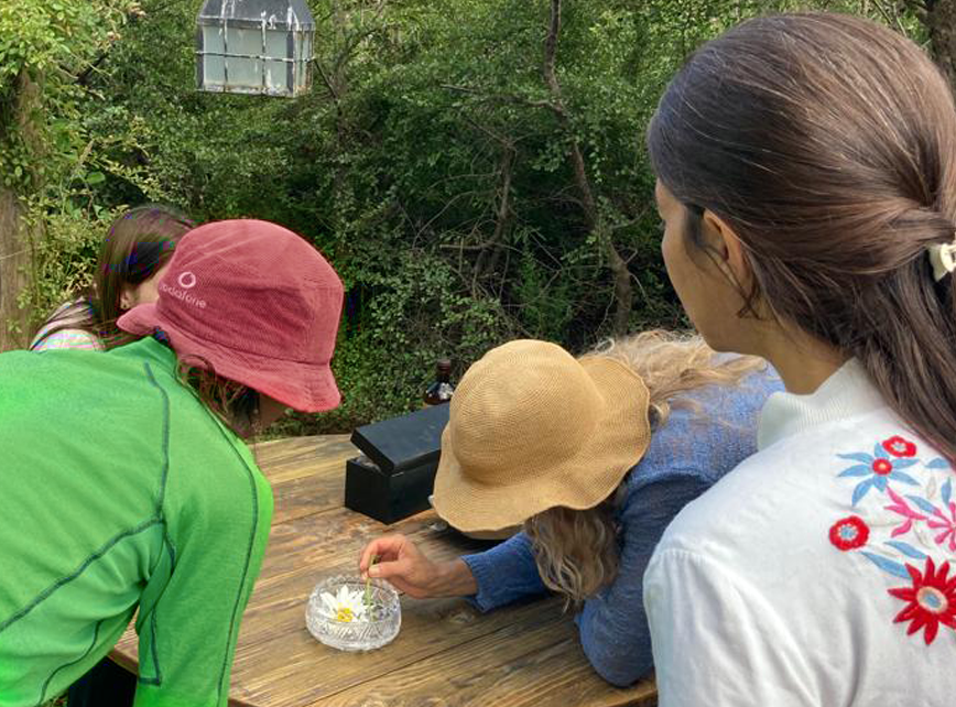Jornada de elaboración de Esencias Florales