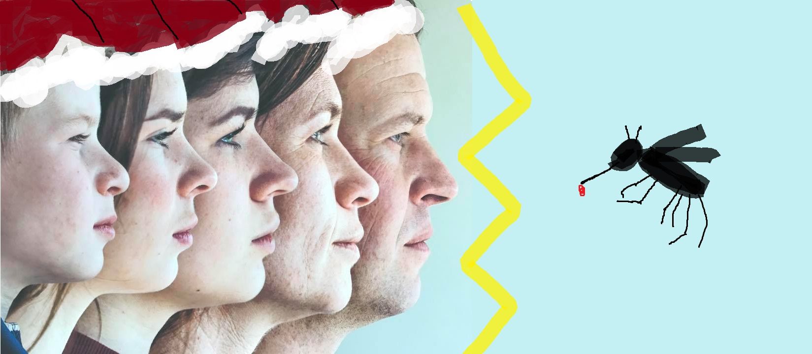 The Nordstrand Nilsens vs Malaria ✨🎄🚫🦟