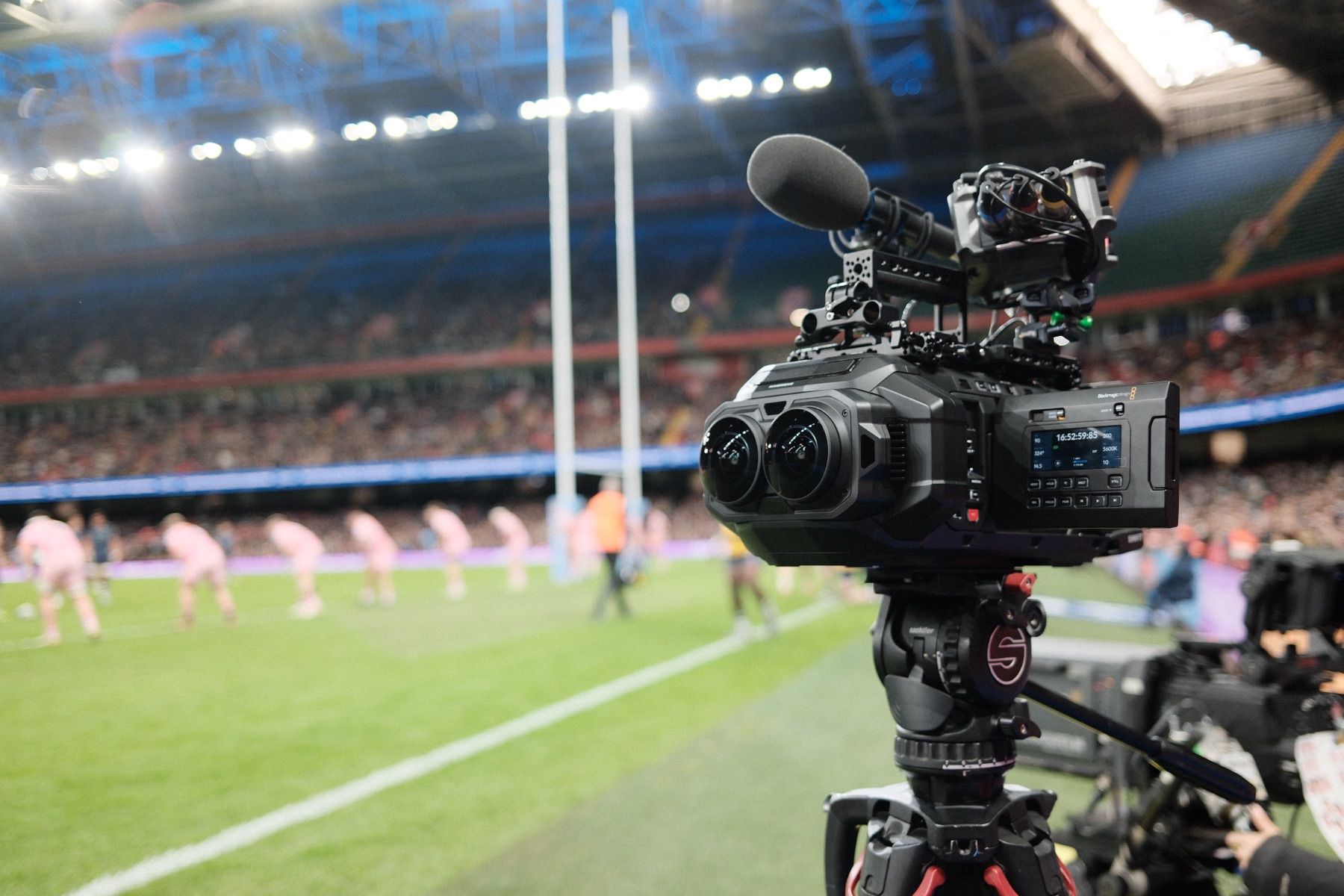 Bears Country: Filming with the Blackmagic Immersive camera for Apple Vision Pro