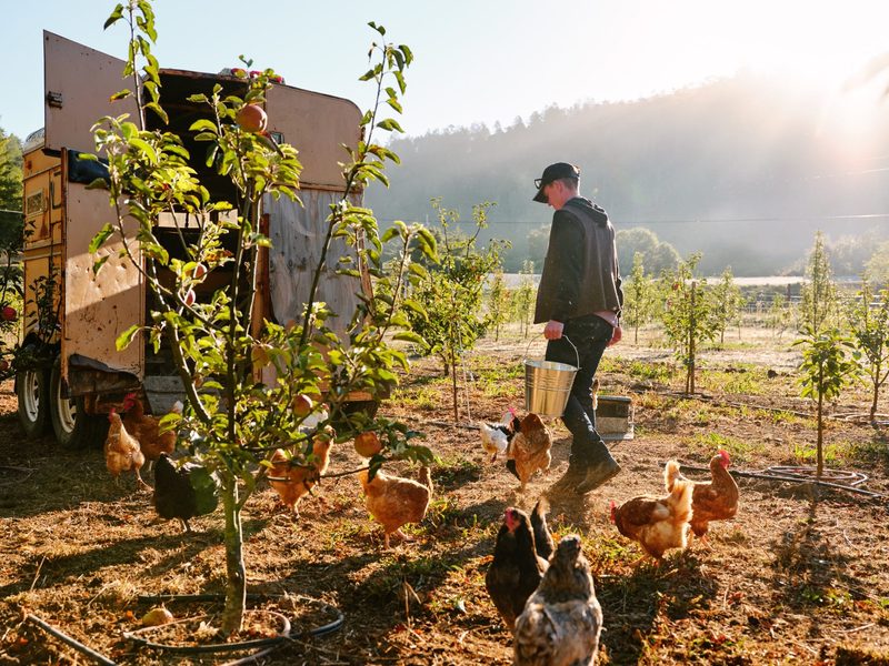 Farm