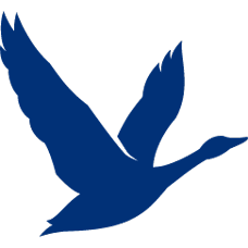 Grey Goose logo