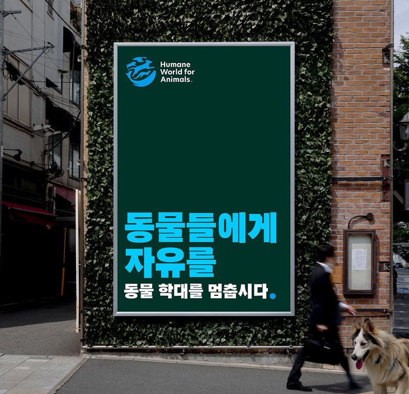 Korean poster