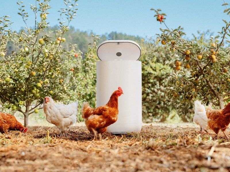 Bin on the farm