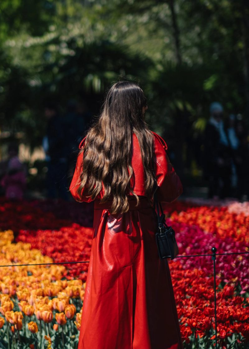 Visitor among red tulips