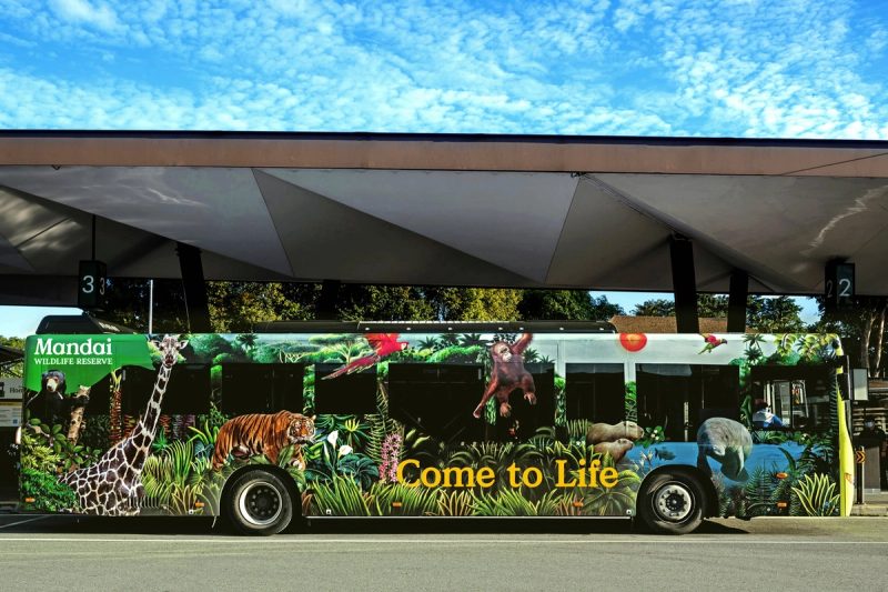Wildlife Reserve Bus Wrap