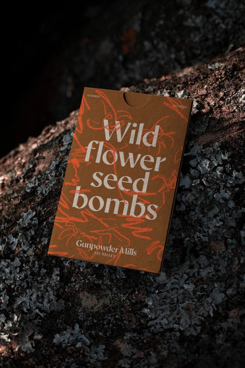 Wild flower seed bombs packet
