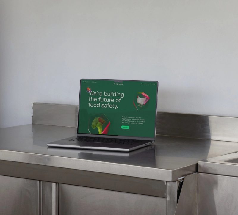 Phageguard Website on Laptop