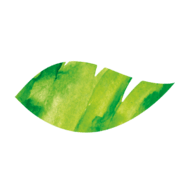 Alpro logo