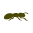 Picnic logo