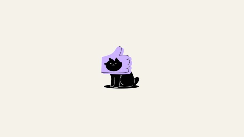 Thumbs-up cat