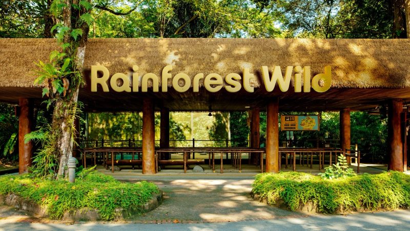 Rainforest Wild Entrance Signage