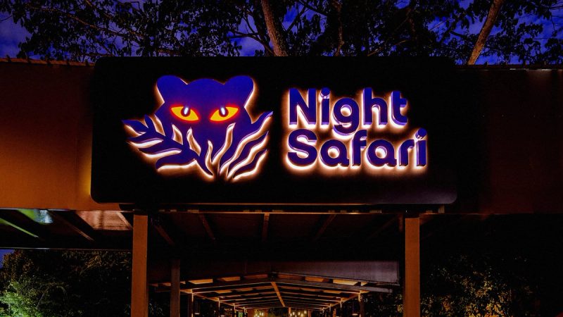 Night Safari Illuminated Sign