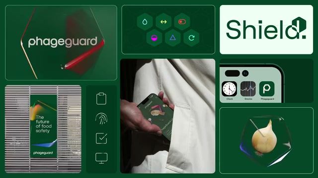 Phageguard brand identity bento