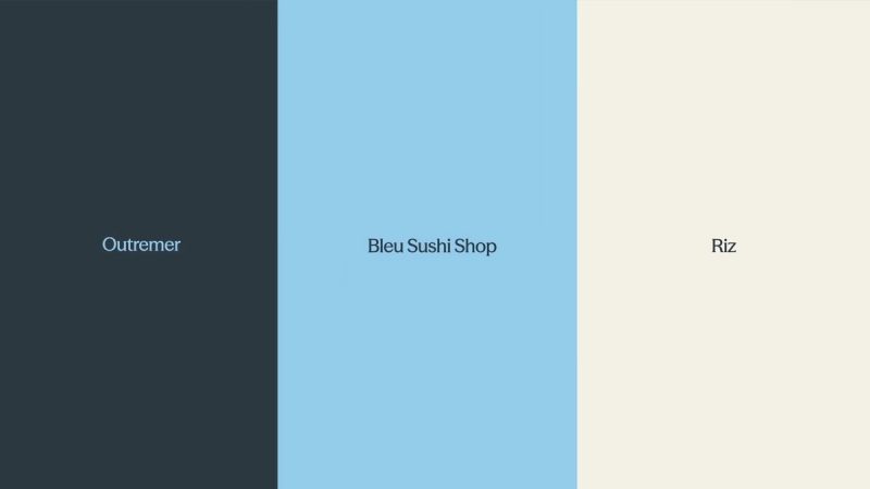 Sushi Shop Color Palette: Brand color families, 2026 brand identity by Caserne