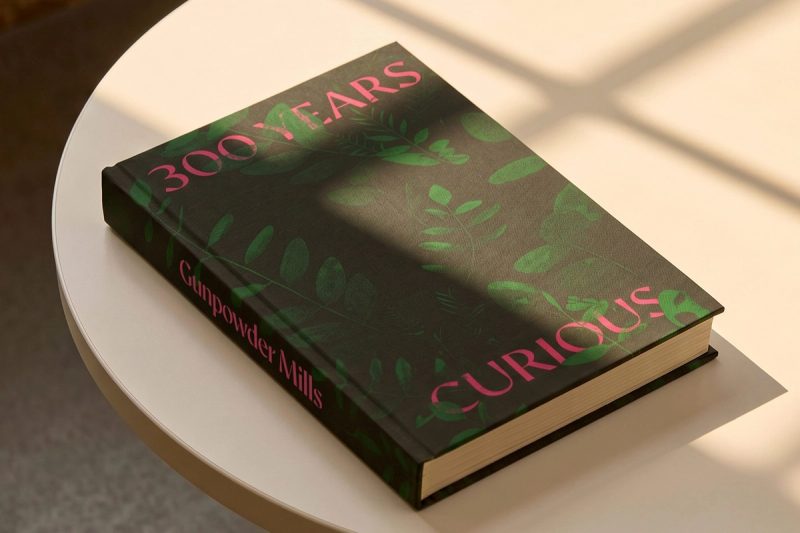 300 YEARS CURIOUS book