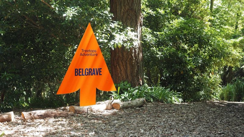 Treetops Adventure Belgrave Directional Sign