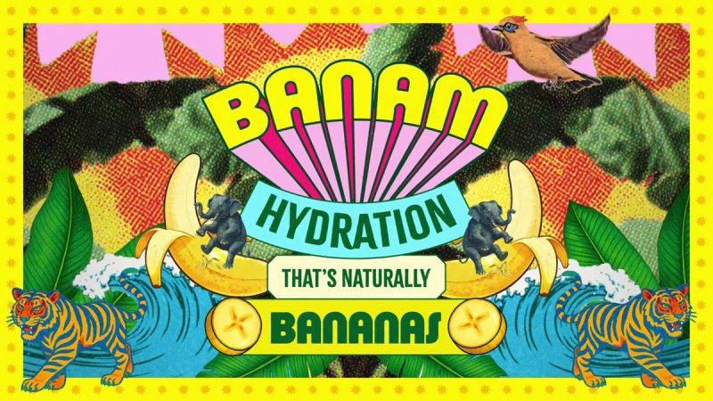 Banam Art Direction: Jungle collage opening into the key visual, 2026 brand identity by White Bear