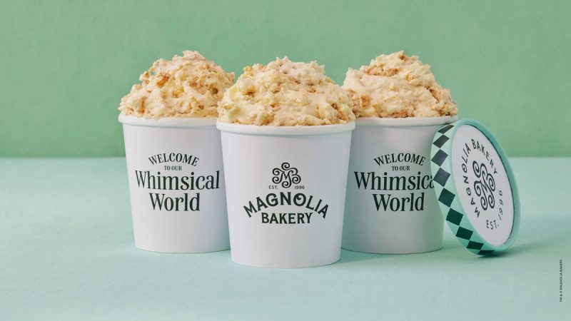 Ice Cream Containers