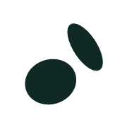 Holisticon logo