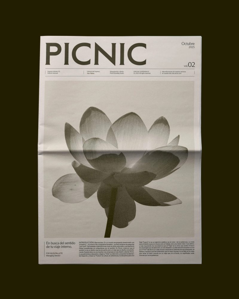 Picnic newspaper
