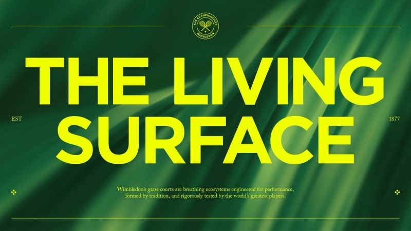 The Living Surface