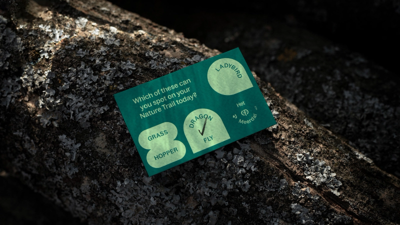 Nature Trail Activity Card