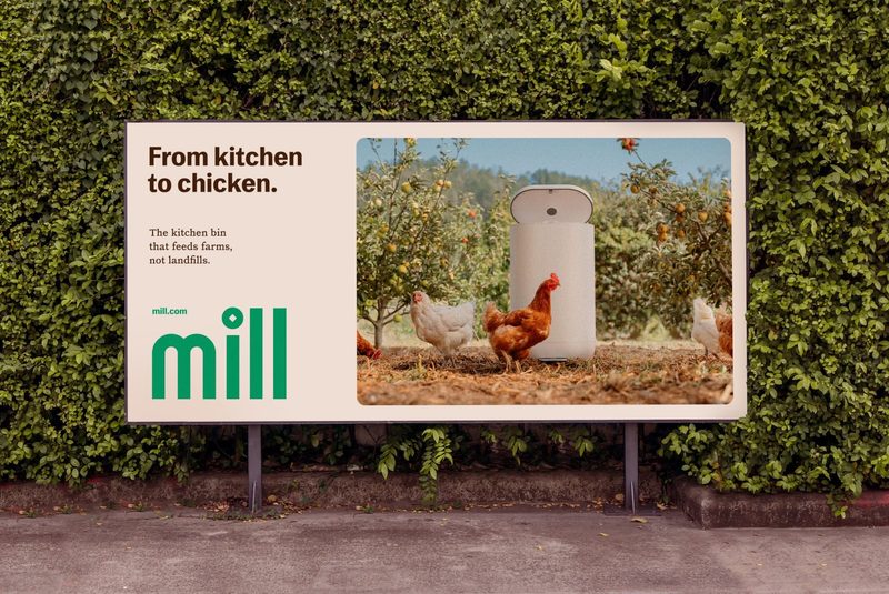 From kitchen to chicken